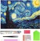 Full Drill 5D Diamond Painting 20×16 Inch – Starry Night Paint by Number Gem Art Kit for Home Wall Decor